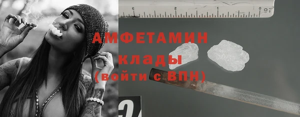 прущие грибы Абдулино