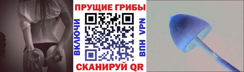 Галлюциногенные грибы мухоморы Сухиничи